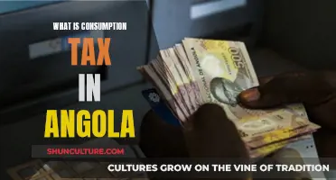 Angola's Consumption Tax: Understanding the Basics