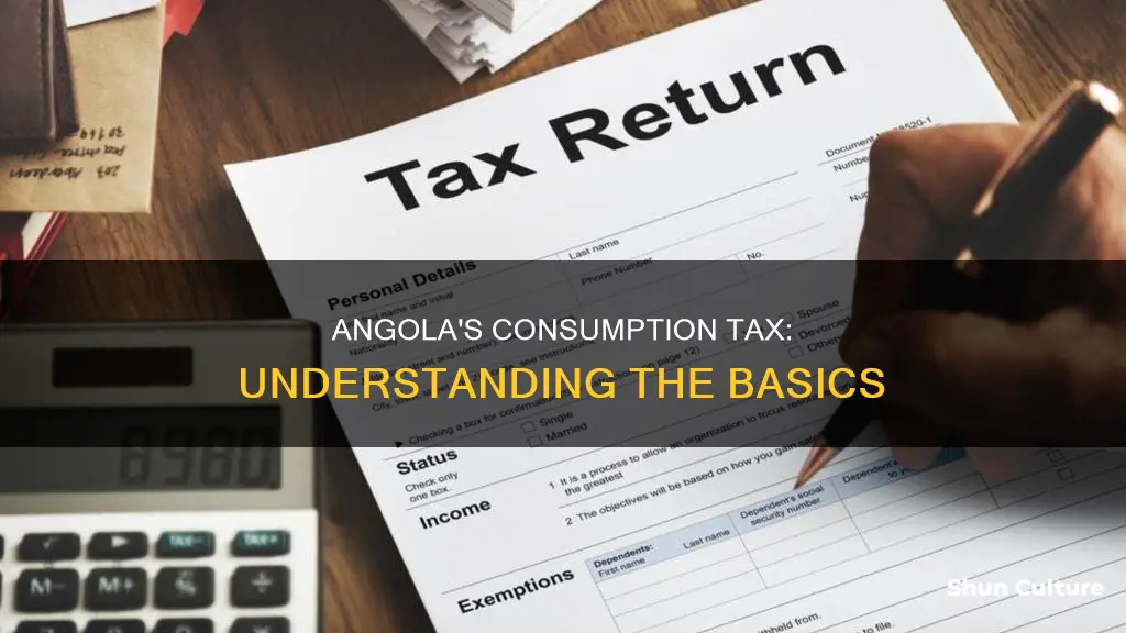 what is consumption tax in angola