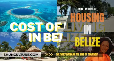 The True Cost of Paradise: Uncovering Belize's Housing Market