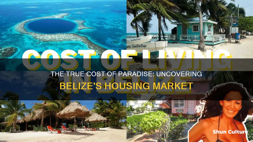 what is cost of housing in belize