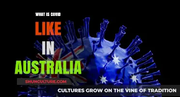 Australia's COVID Experience: Challenges, Responses, and Life During the Pandemic
