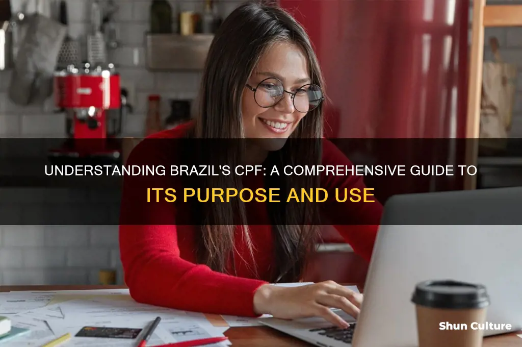 what is cpf brazil