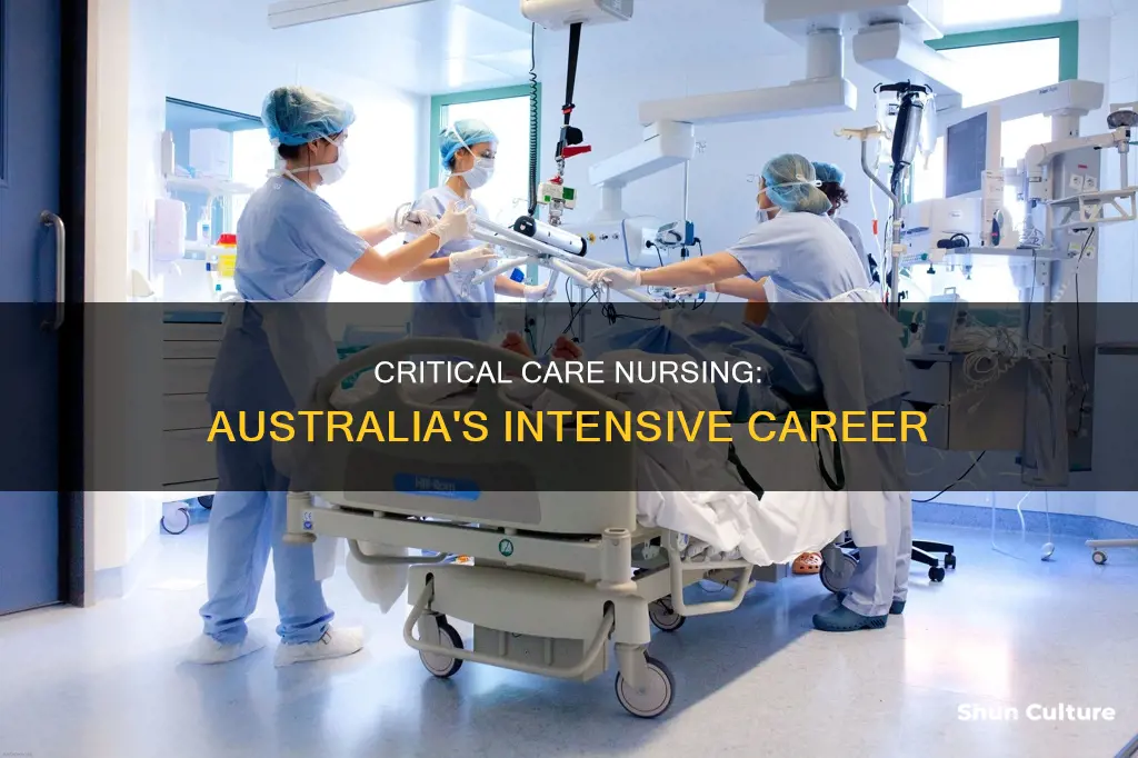 what is critical care nursing in australia
