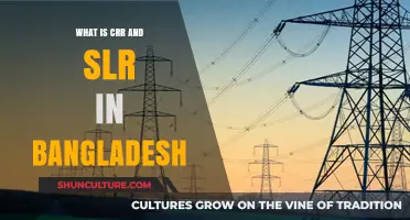 Understanding CRR and SLR in Bangladesh's Banking System