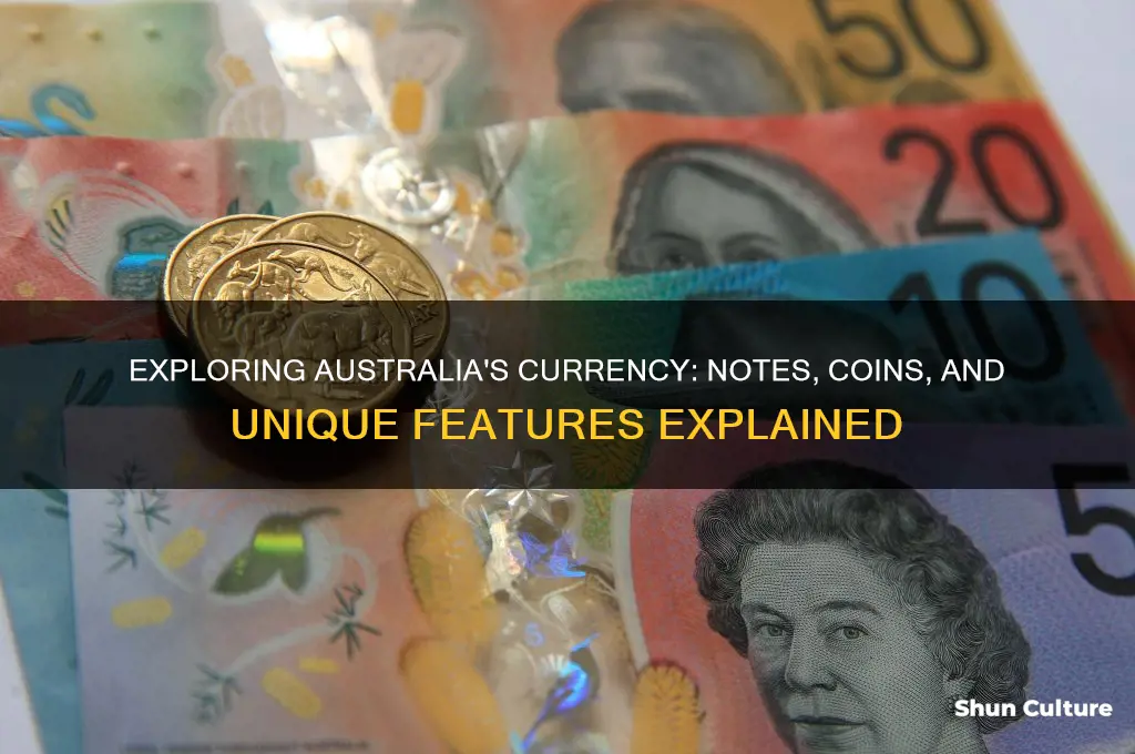 what is currency in australia like