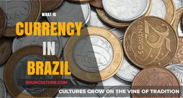 Understanding Brazil's Currency: The Real and Its Economic Impact