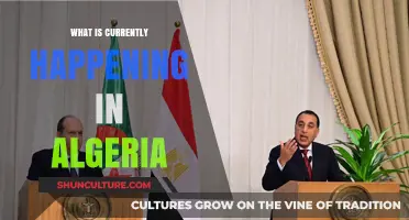 Algeria Today: Political Shifts, Economic Challenges, and Social Movements