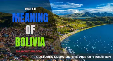 Exploring Bolivia's Rich Cultural Heritage and History