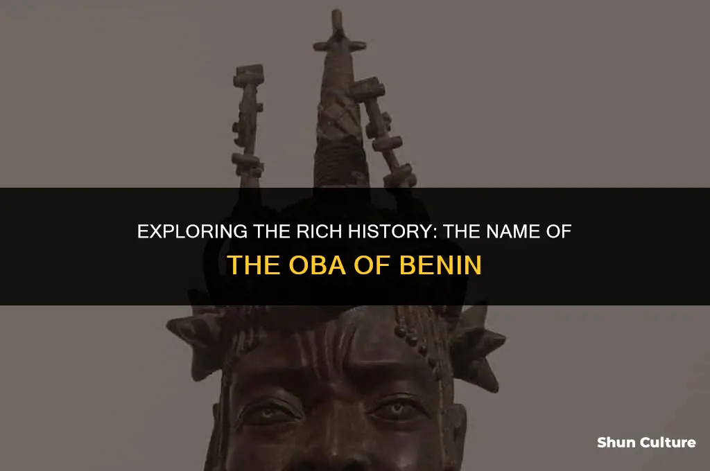 what is d name of oba of benin