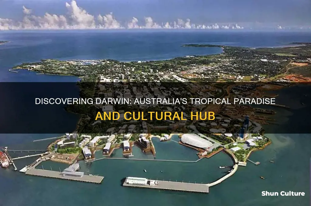 what is darwin australia like