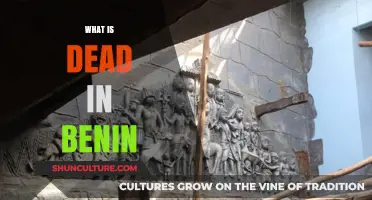 Exploring the Mysteries of Benin: What Lies Beneath the Surface?