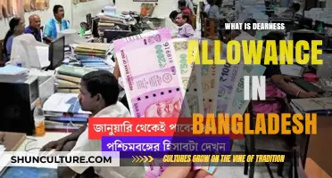 Understanding Dearness Allowance in Bangladesh: Definition, Purpose, and Impact