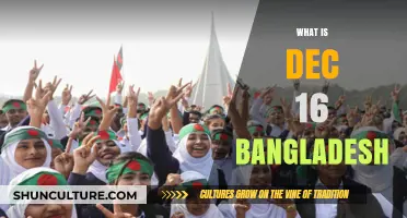 December 16: Understanding Bangladesh's Historic Victory Day Significance