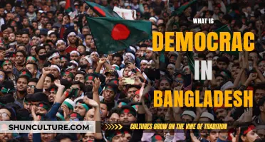 Exploring Democracy in Bangladesh: History, Challenges, and Future Prospects
