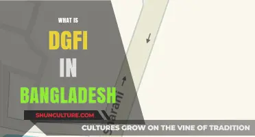 Understanding Bangladesh's DGFI: Role, Functions, and Impact Explained