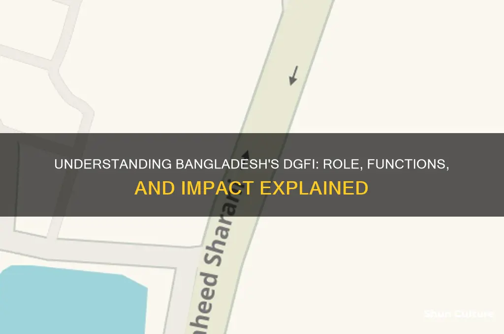 what is dgfi in bangladesh