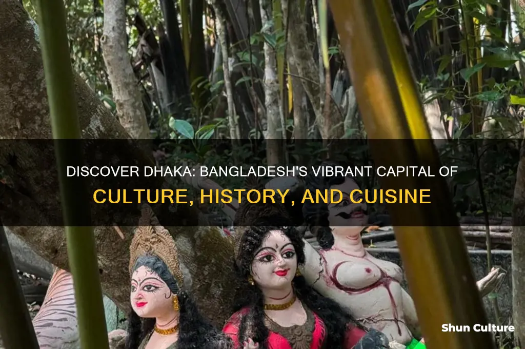 what is dhaka bangladesh famous for
