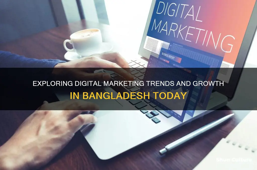 what is digital marketing in bangladesh