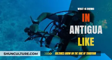 Discover Antigua's Underwater Paradise: A Diver's Guide to Caribbean Wonders