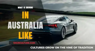 Exploring Australia's Unique Driving Experience: Roads, Rules, and Wildlife