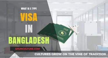 Understanding Bangladesh's E-Type Visa: Requirements, Benefits, and Application Process