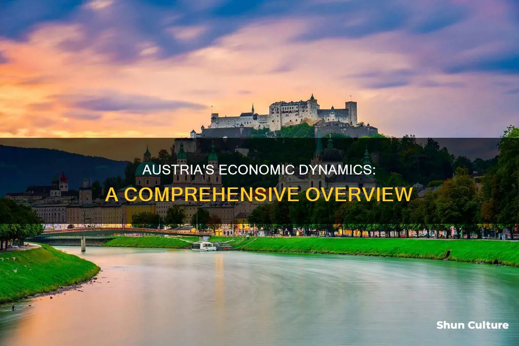 what is economic dynamic in austria