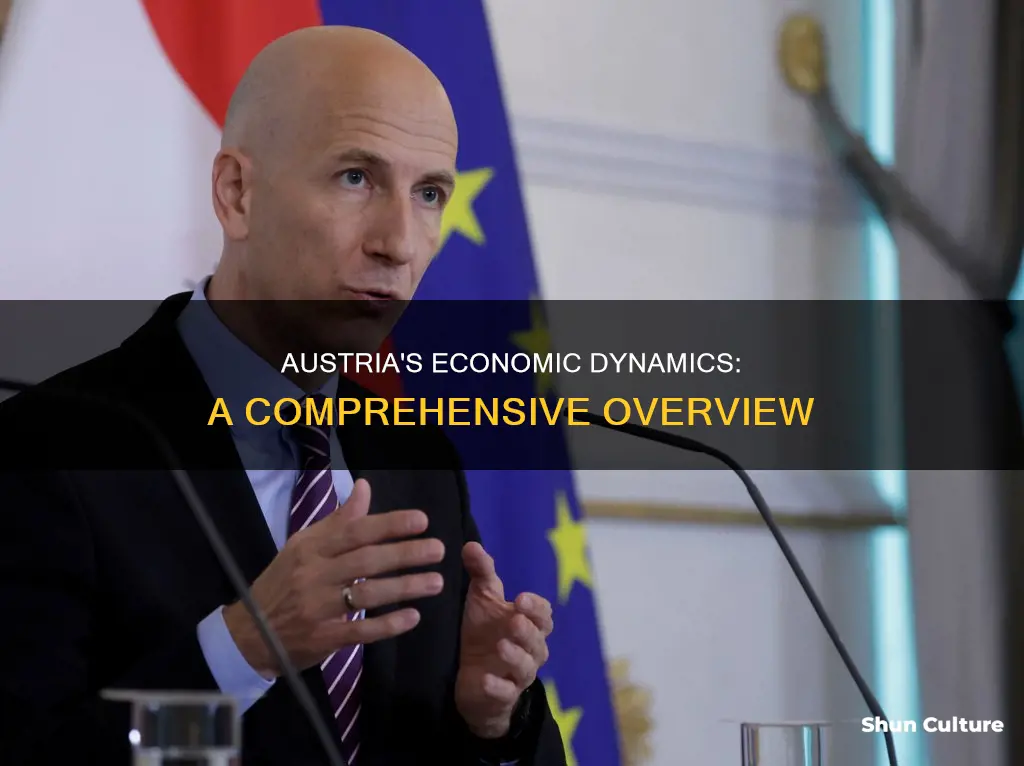 what is economic dynamic in austria