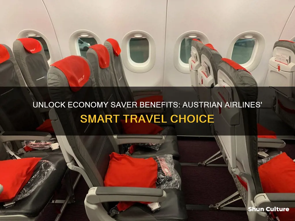 what is economy saver on austrian airlines