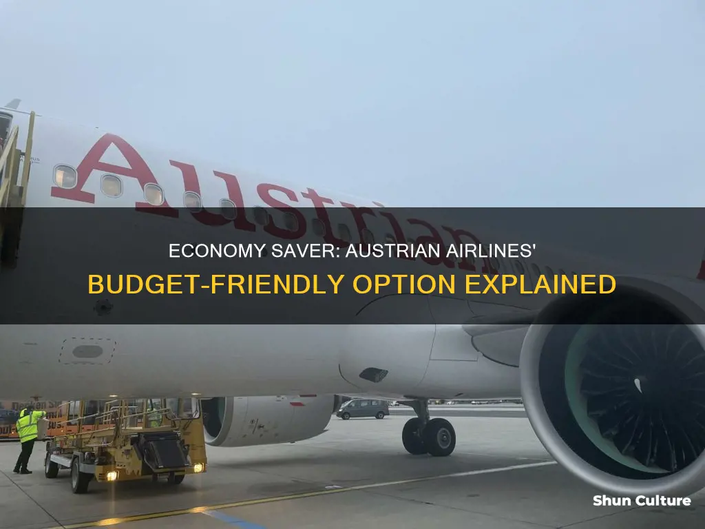 what is economy saver on austrian airlines
