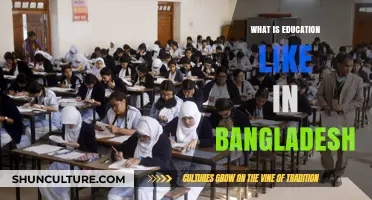 Exploring Bangladesh's Education System: Challenges, Innovations, and Future Prospects