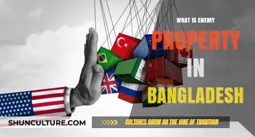 Understanding Enemy Property Laws and Implications in Bangladesh