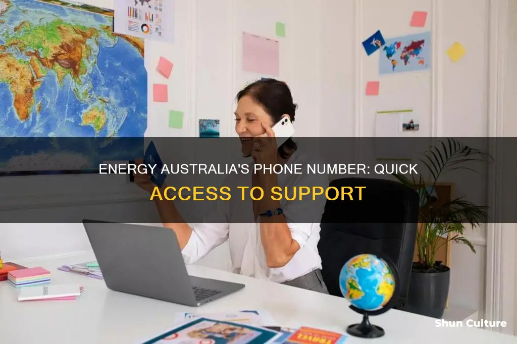 what is energy australia phone number