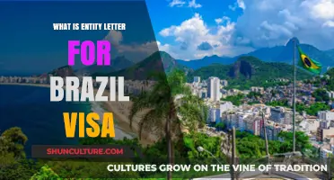 Understanding the Entity Letter Requirement for Brazil Visa Applications