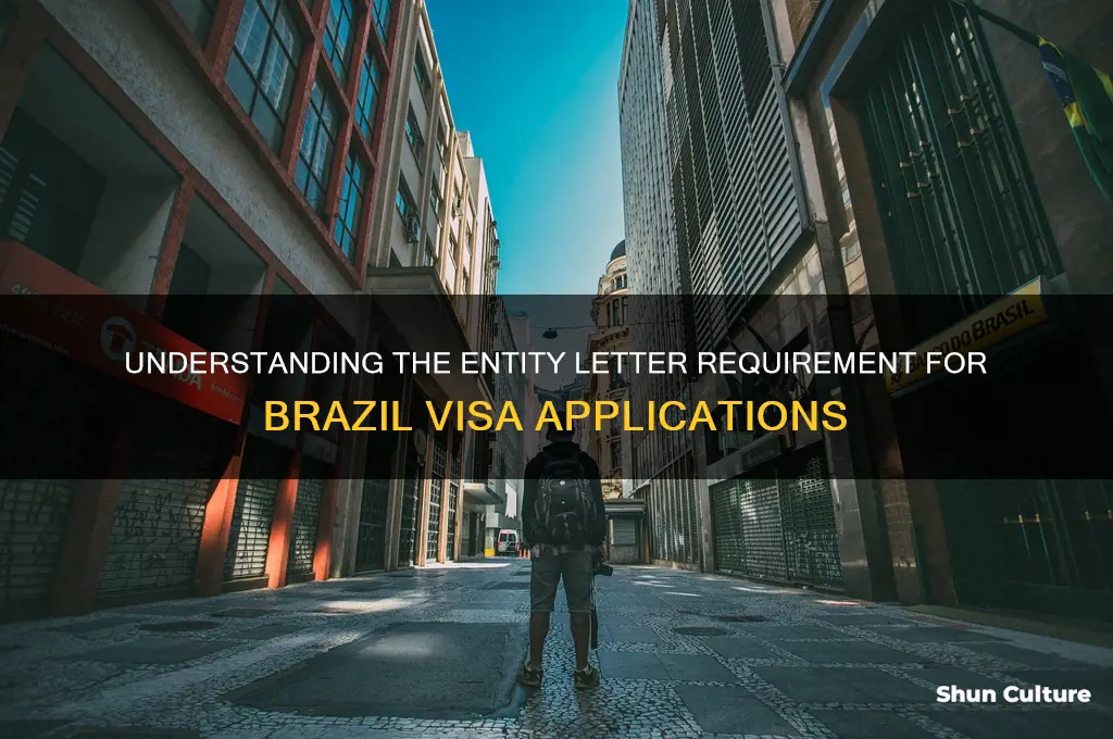 what is entity letter for brazil visa