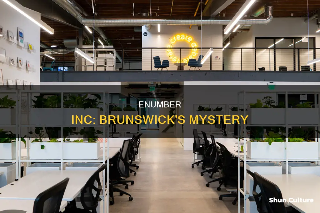 what is enumber inc brunswick nj