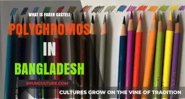 Faber-Castell Polychromos in Bangladesh: Premium Colored Pencils Explained