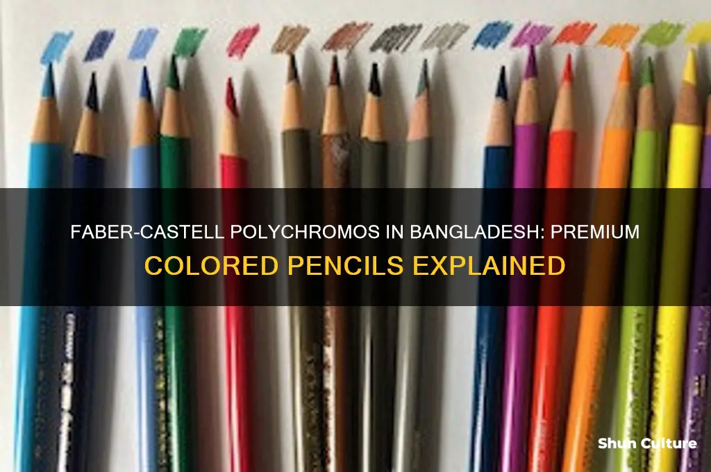 what is faber castell polychromos in bangladesh