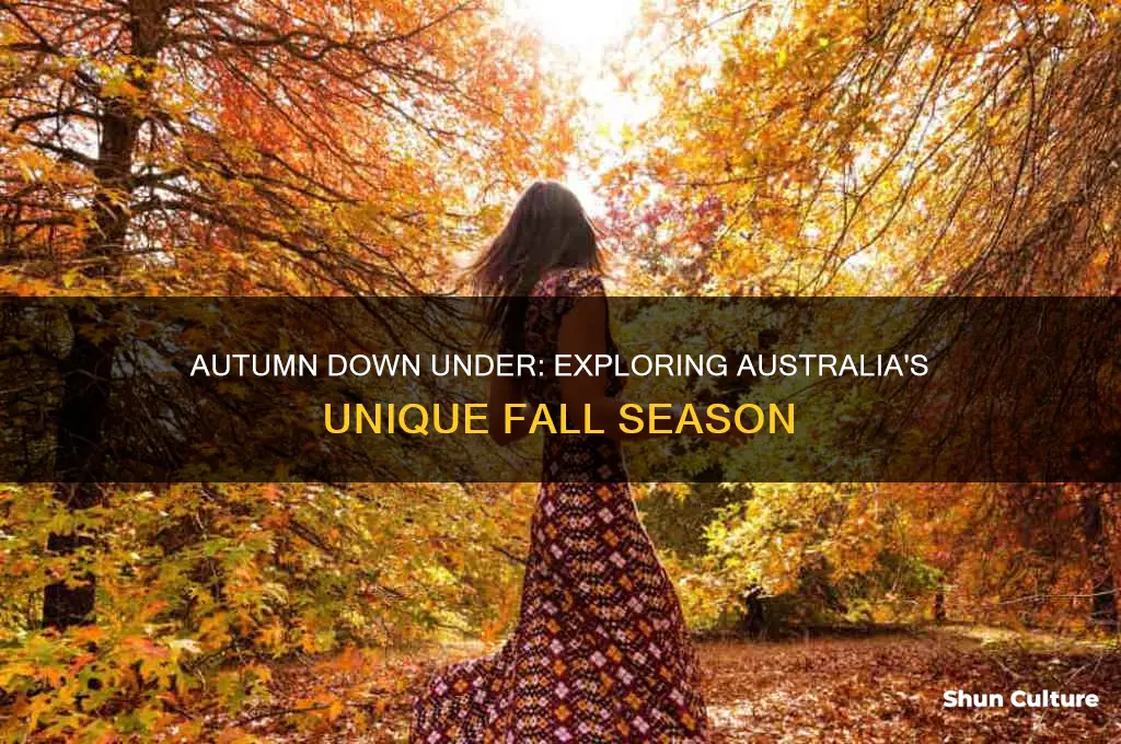 what is fall in australia like