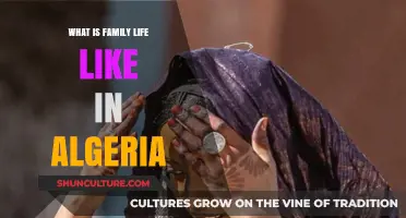 Exploring Algerian Family Life: Traditions, Values, and Daily Dynamics
