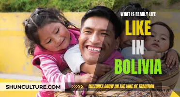 Exploring the Heart of Bolivian Family Life