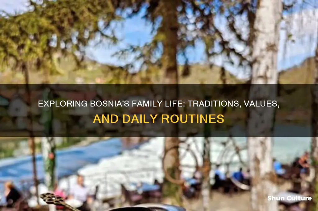what is family life like in bosnia