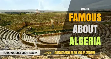 Algeria's Rich Heritage: Culture, History, and Natural Wonders Explored