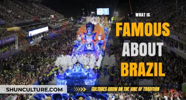 Brazil's Iconic Culture, Carnival, and Natural Wonders: A Global Fascination