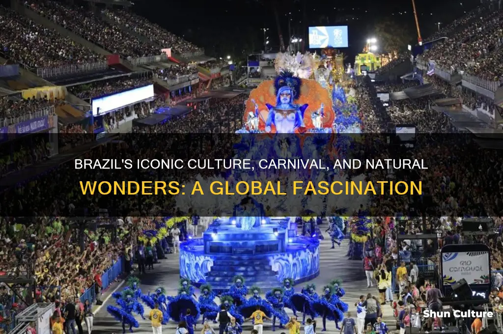 what is famous about brazil