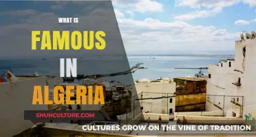 Discovering Algeria's Cultural Treasures: Famous Landmarks, Cuisine, and Traditions