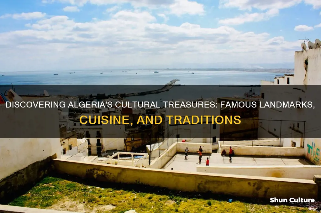 what is famous in algeria