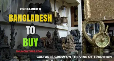 Top Bangladeshi Souvenirs: Unique Must-Buy Items to Bring Home