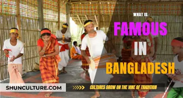 Discover Bangladesh's Iconic Culture, Cuisine, and Natural Wonders