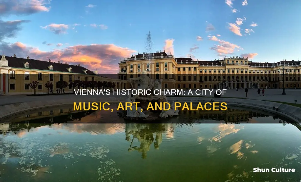 what is famous in vienna austria