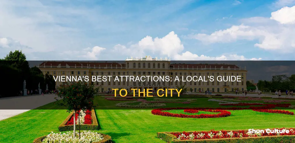 what is famous in vienna austria